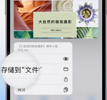 志丹apple维修中心分享iPhone文件应用中存储和找到下载文件