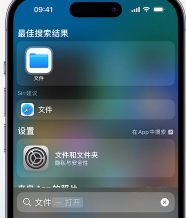 志丹apple维修中心分享iPhone文件应用中存储和找到下载文件