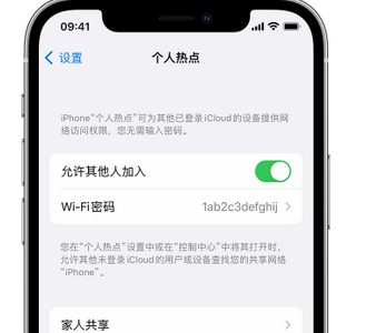 志丹apple服务站点分享iPhone上个人热点丢失了怎么办 