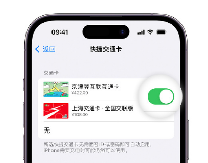 志丹apple维修点分享iPhone上更换Apple Pay快捷交通卡手绘卡面 