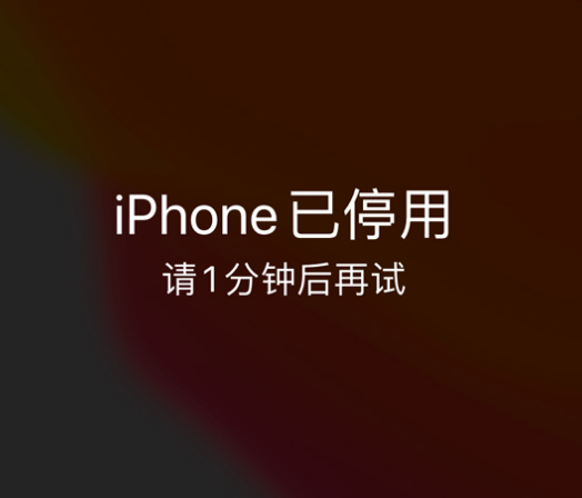 志丹苹果手机维修分享:iPhone 显示“不可用”或“已停用”怎么办？还能保留数据吗？ 