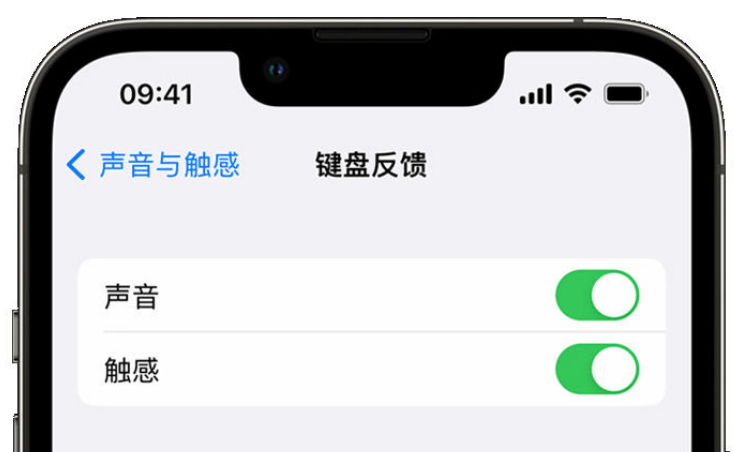 志丹苹果手机维修分享iPhone 14触感键盘使用方法 