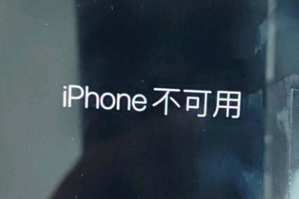 志丹苹果服务网点分享锁屏界面显示“iPhone 不可用”如何解决 