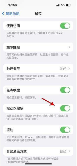 志丹苹果手机维修分享iPhone手机如何设置摇一摇删除文字 